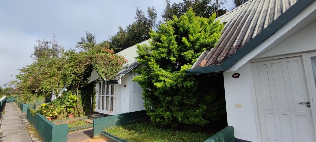Resort Tea Hills - Mthr
