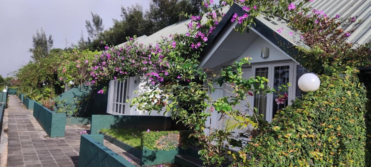 Tea Hills - Mthr Resort Munnar