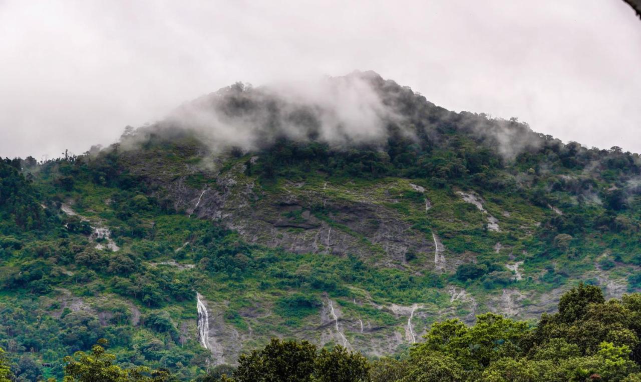 Misty Garden Munnar