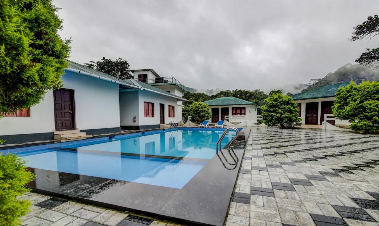Misty Garden Munnar