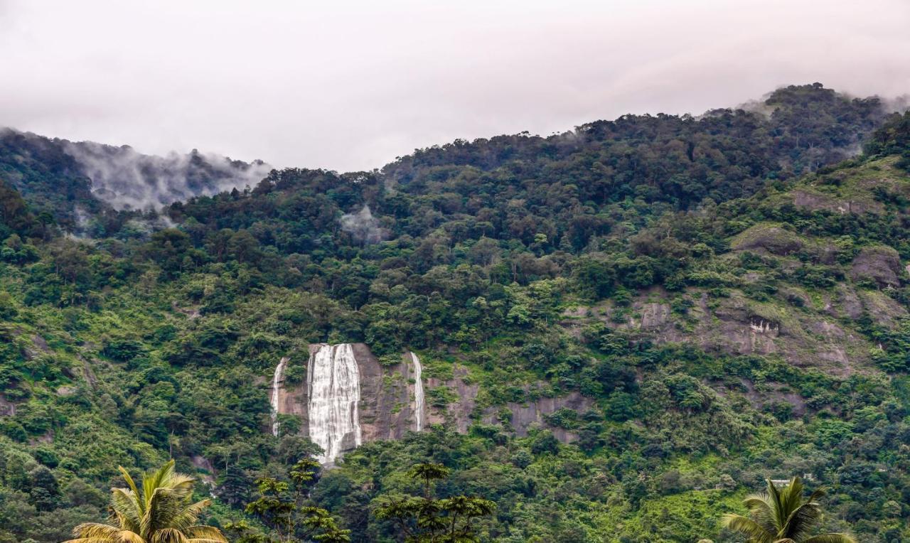 Misty Garden Munnar