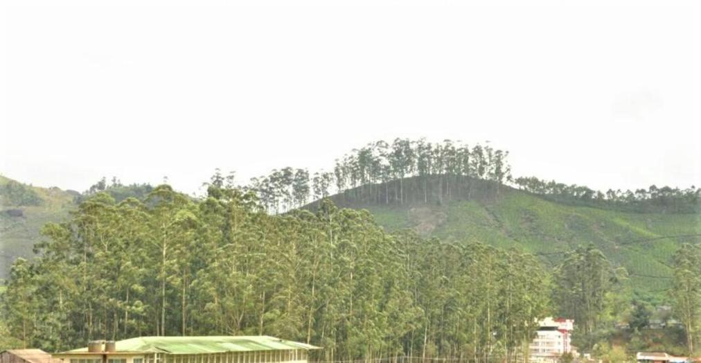 Pranav 4 Seasons Munnar