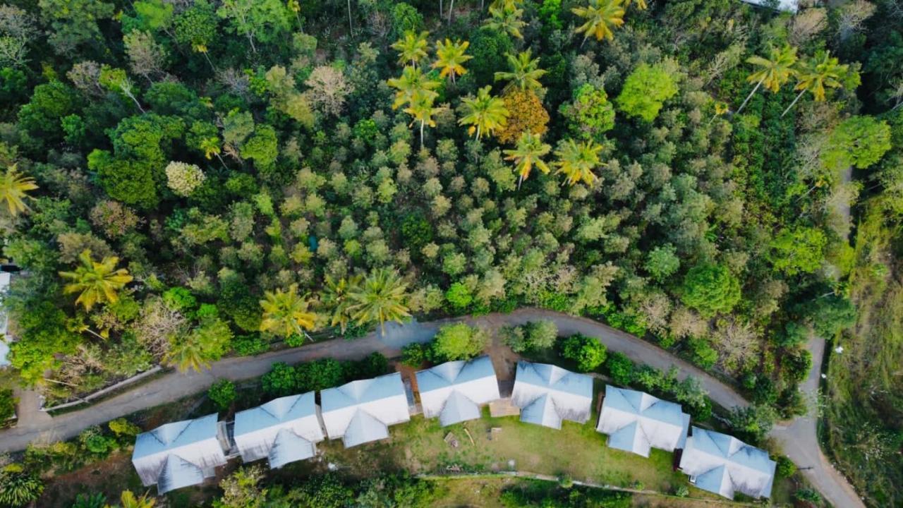 Mannoor Farms Mountain View Stays, Munnar