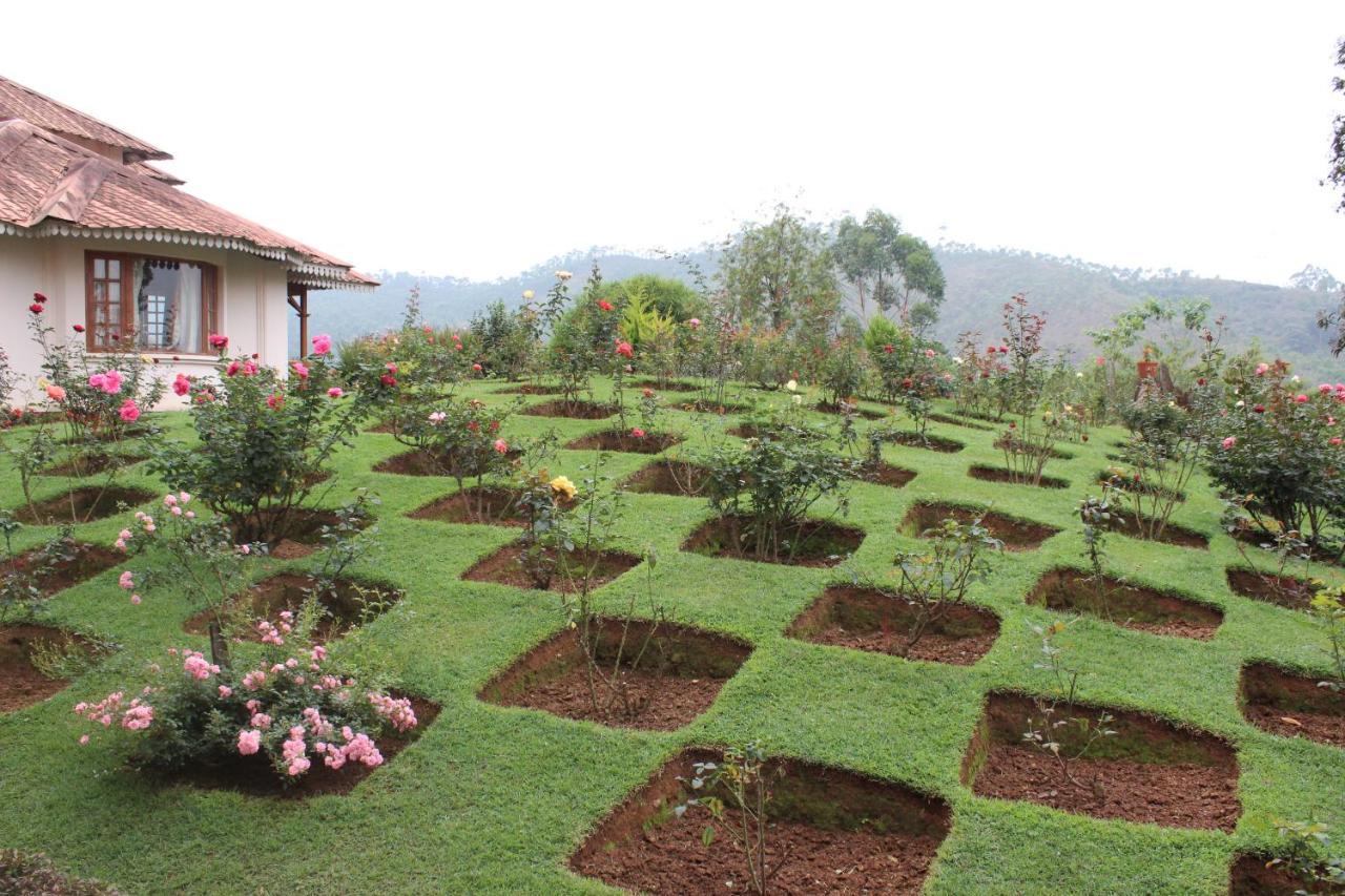 Tea County