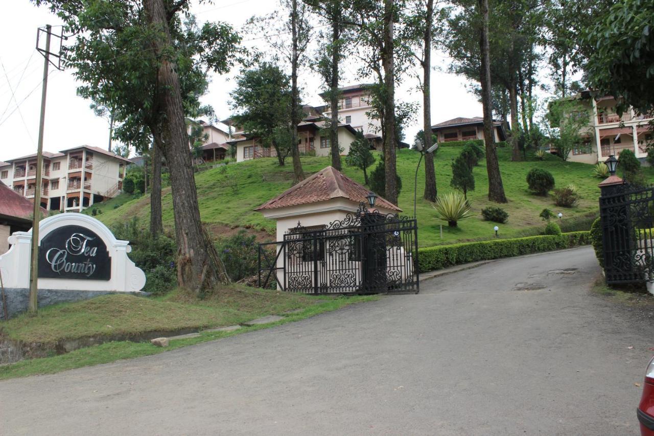 Resort Tea County