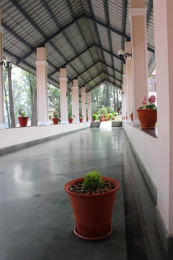 Tea County Resort 4*