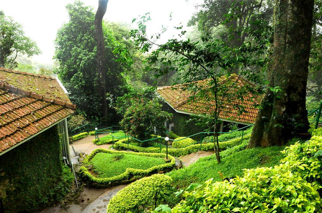 The Tall Trees Munnar