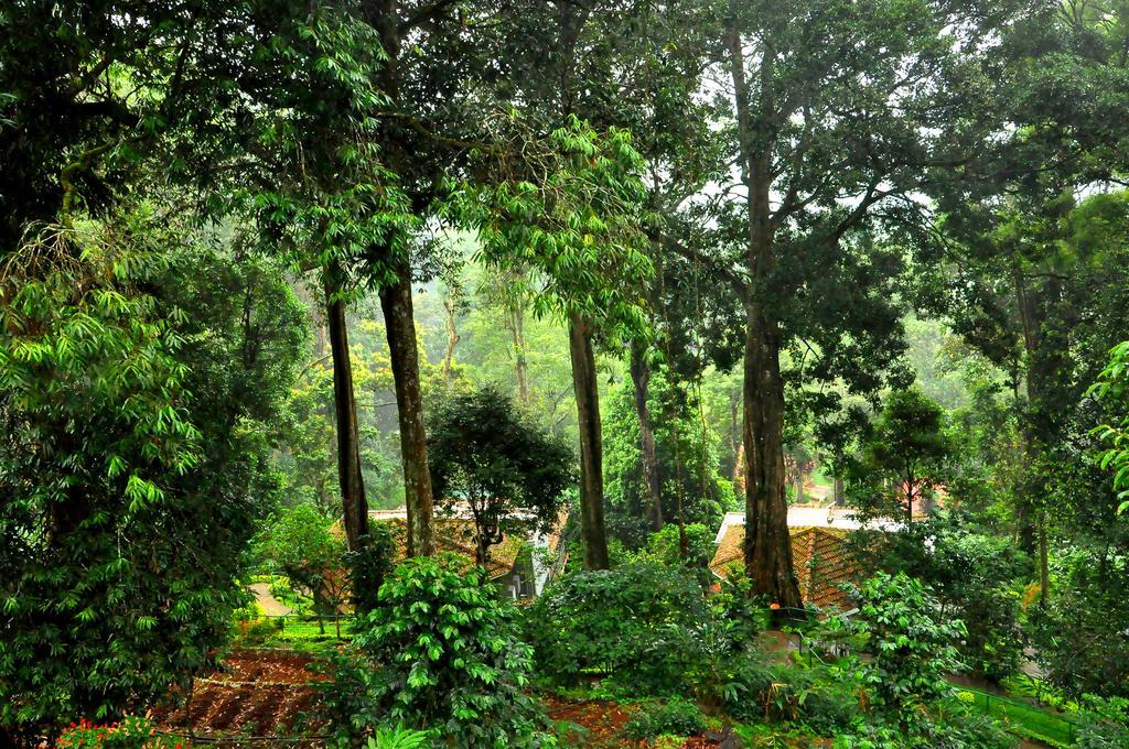 The Tall Trees Resort 4*