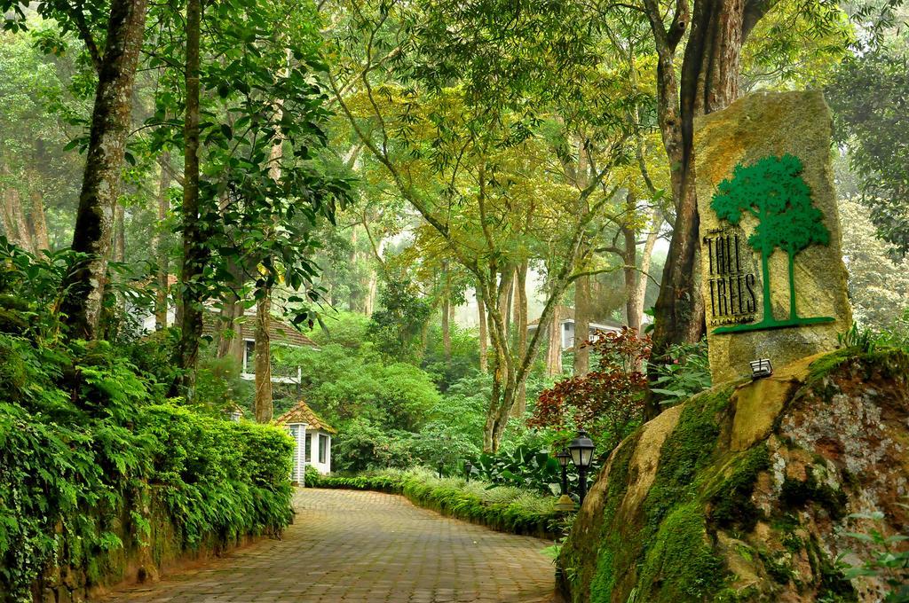 The Tall Trees 4* Munnar