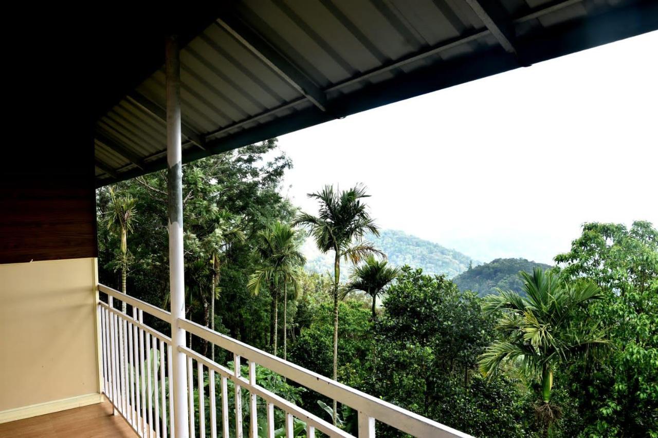 Nature Dale Munnar