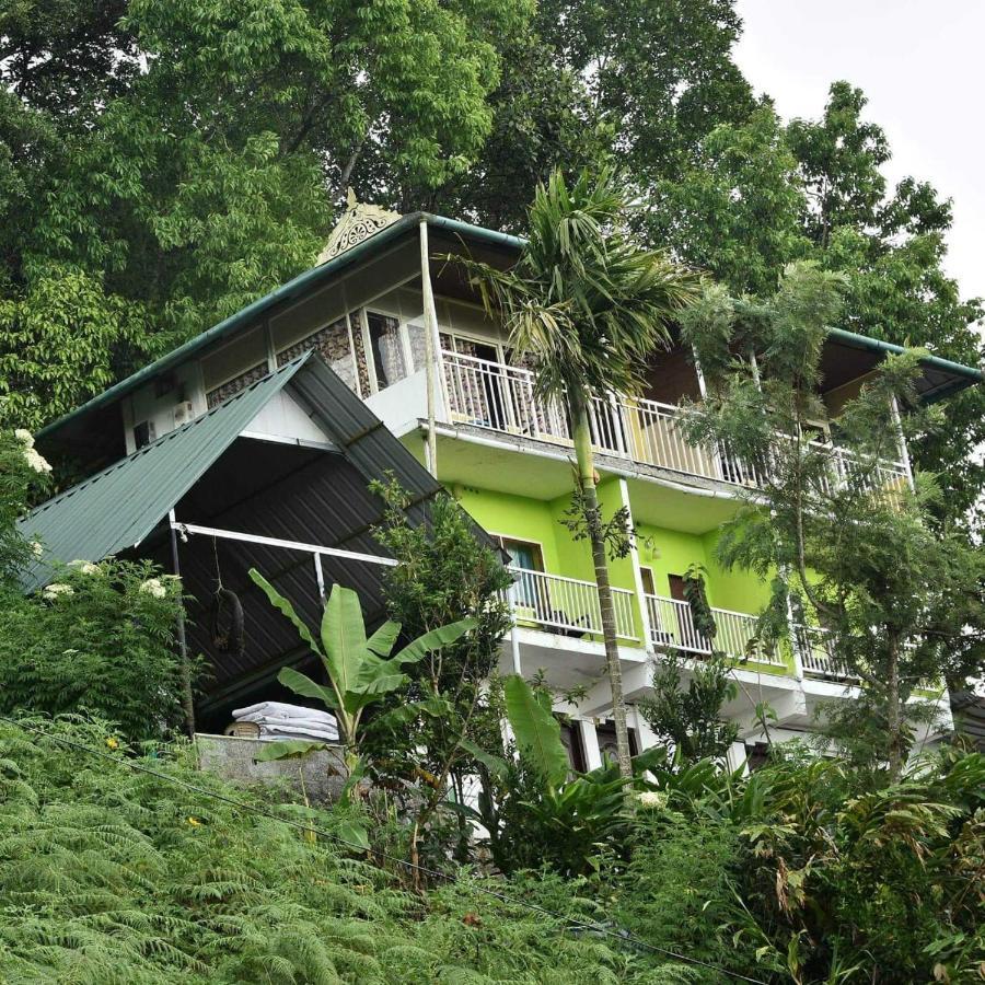 Nature Dale
