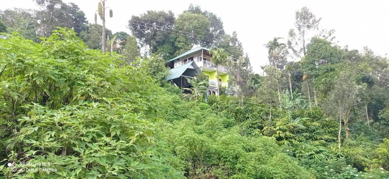 Nature Dale Lodge *