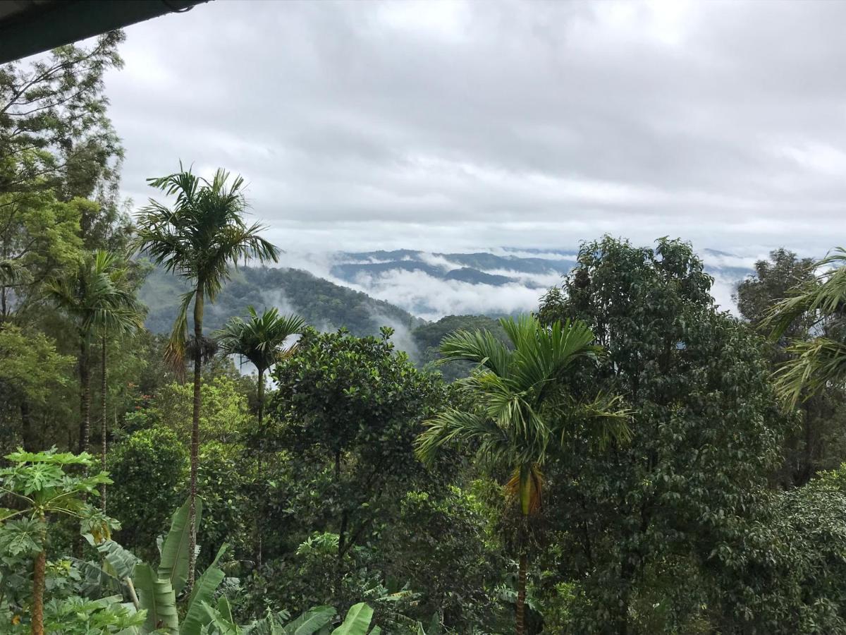 Nature Dale * Munnar