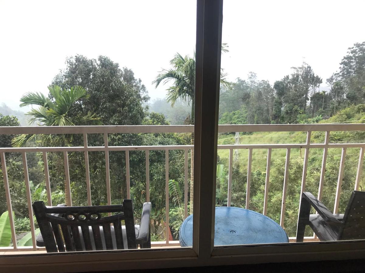 Nature Dale Munnar