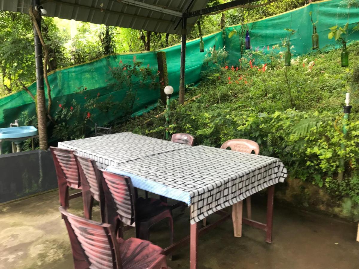 Lodge Nature Dale Munnar
