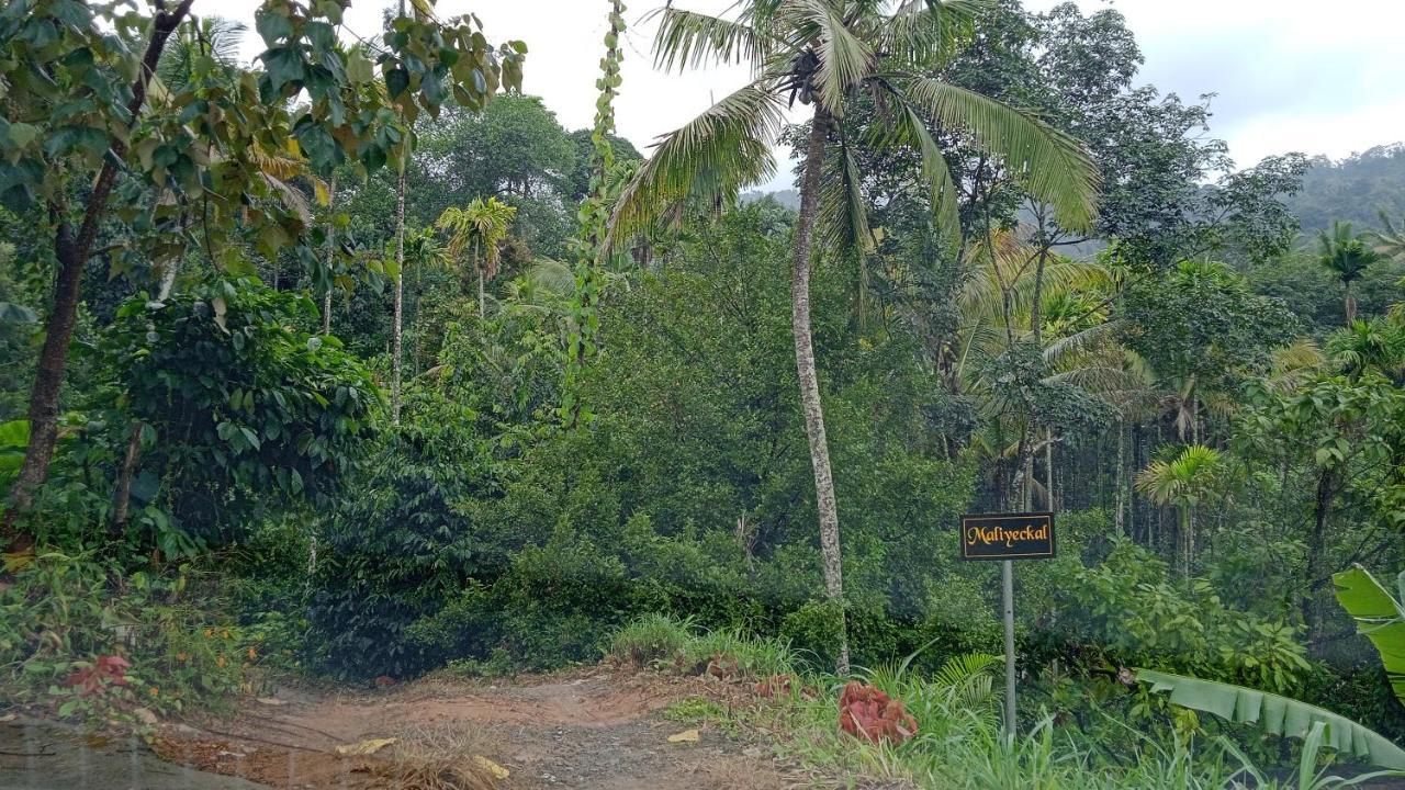 Homestay Maliyeckal Munnar