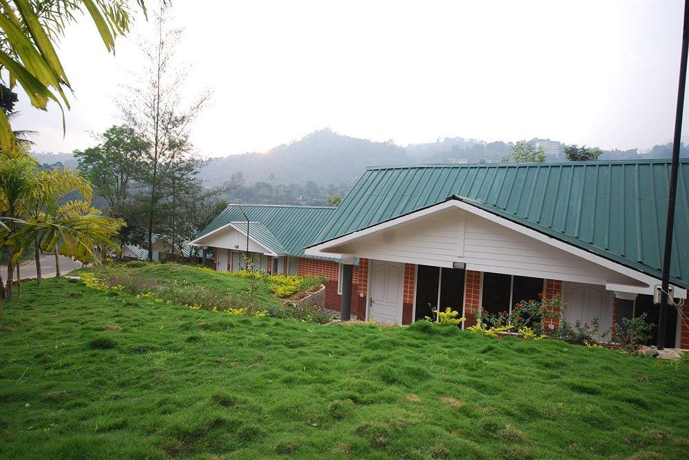 Rivulet Munnar