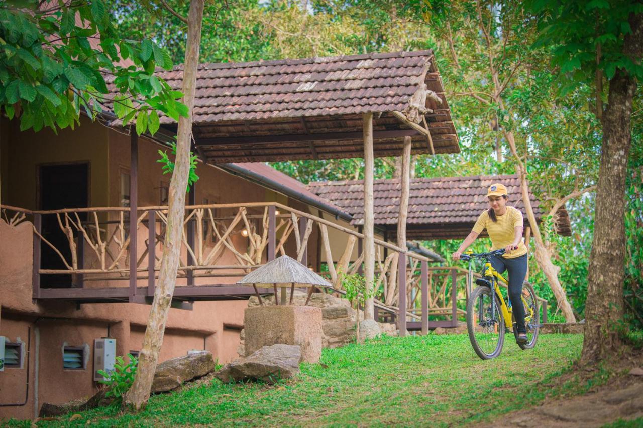 Homestay Beyond Eco Living *