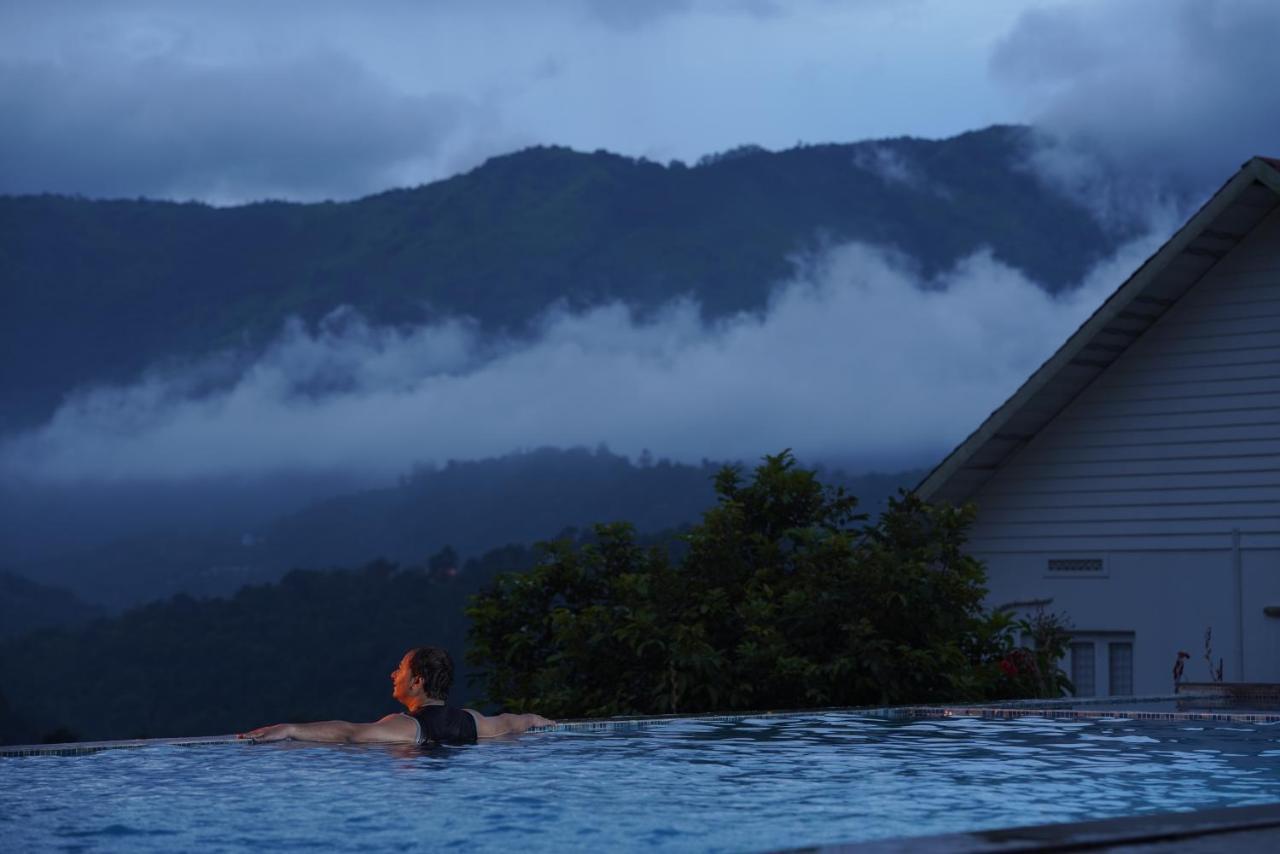 Resort The Fog Munnar