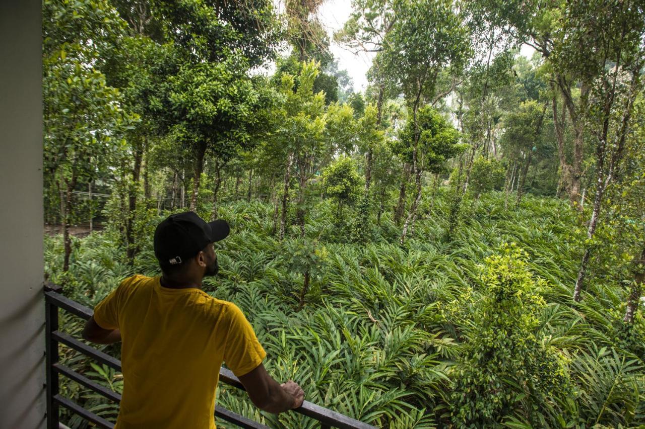 Bed & Breakfast Spice Jungle 3*