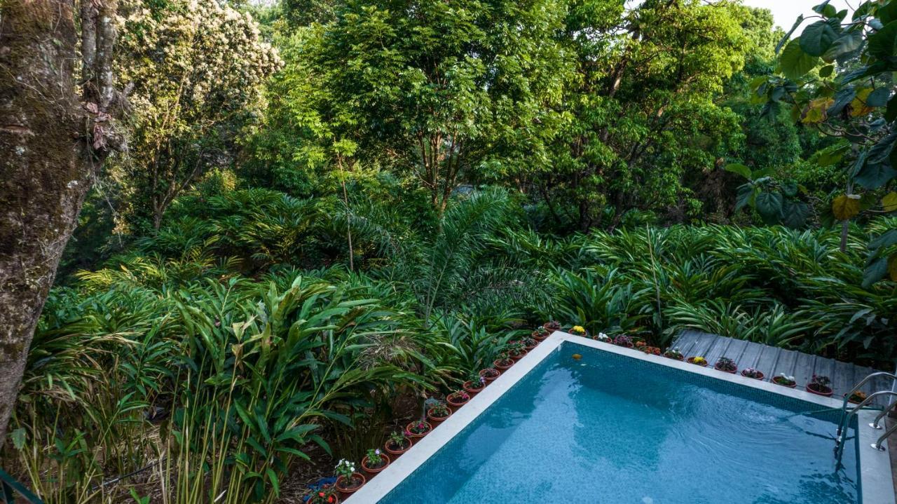 Spice Jungle 3*