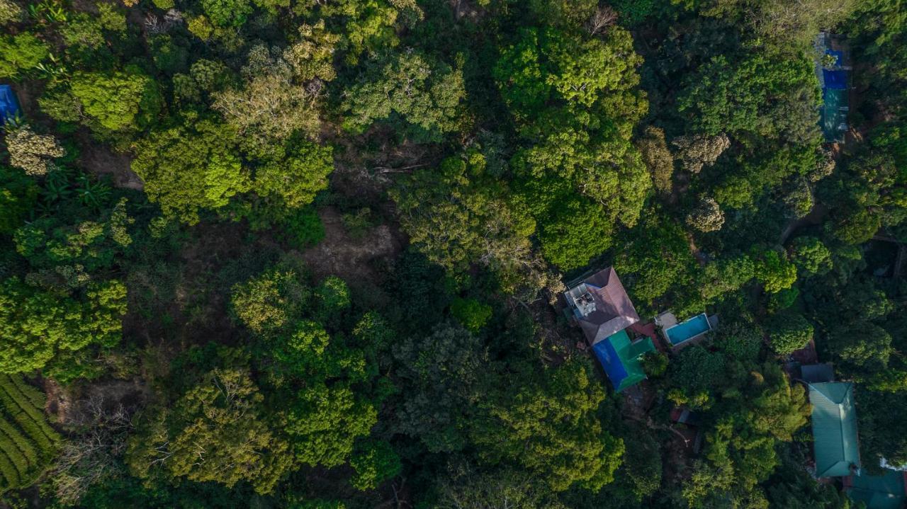 Spice Jungle Munnar