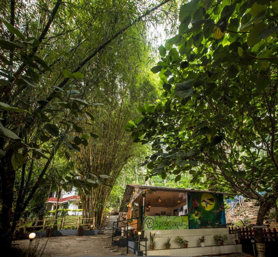 Spice Jungle Munnar