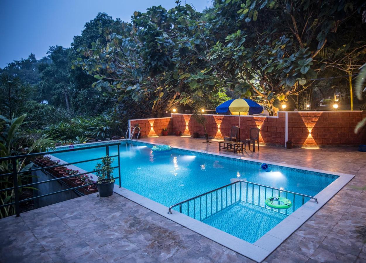 Spice Jungle 3*