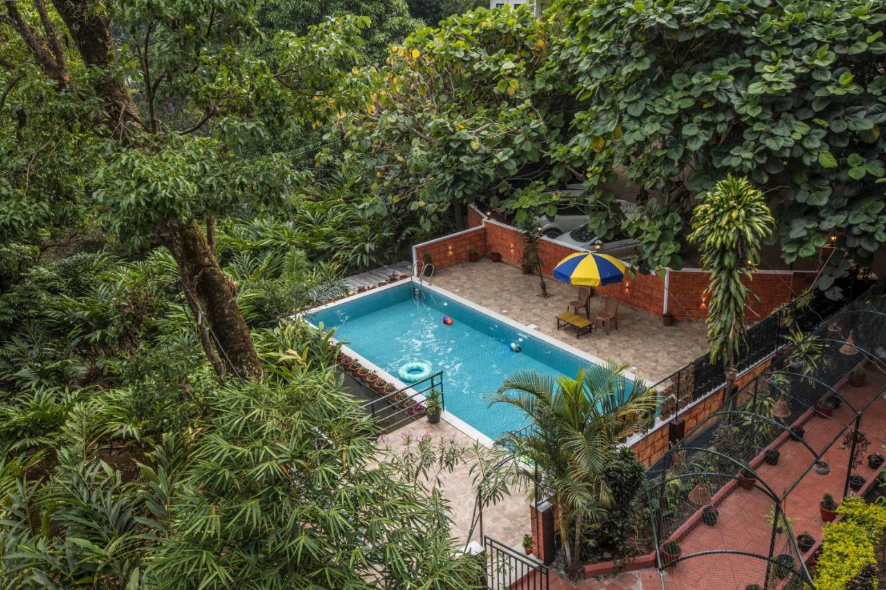 Bed & Breakfast Spice Jungle Munnar