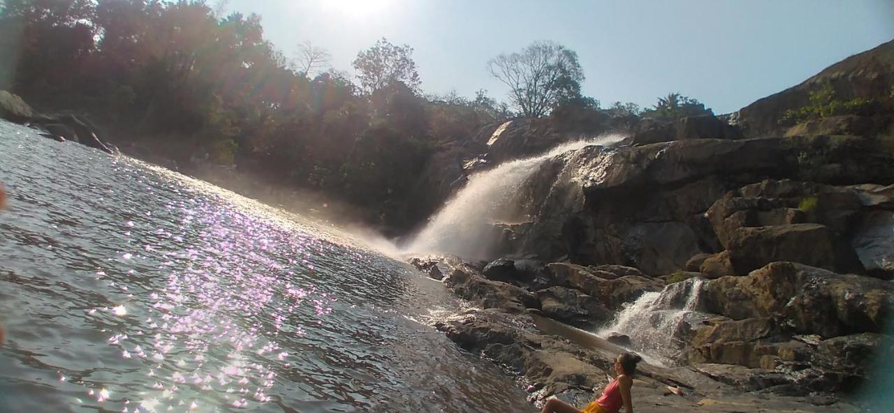 Winterhome Homestay Munnar