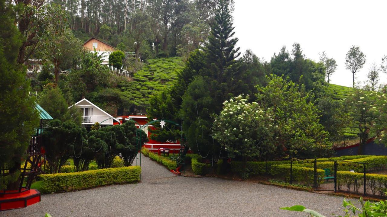 Golden Munnar