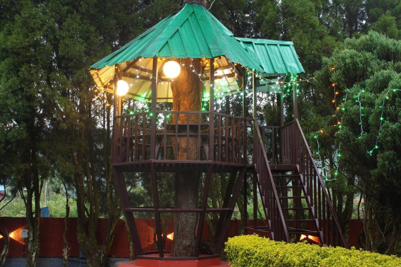 Golden Munnar