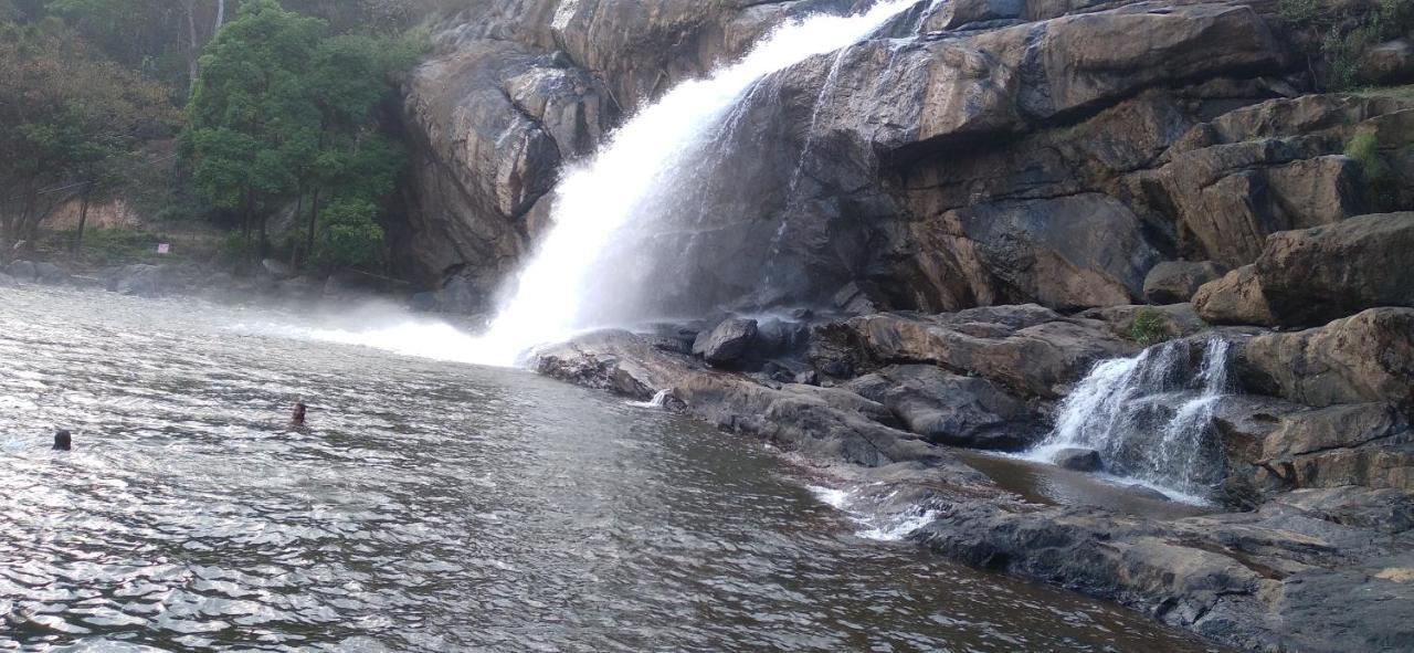 Winterhome Homestay Munnar