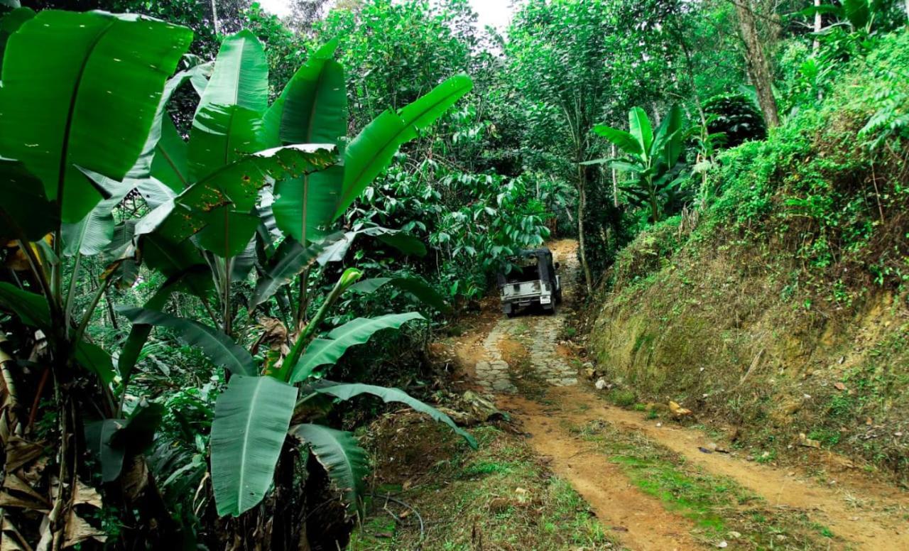 Kurinjiyil Farmstay *