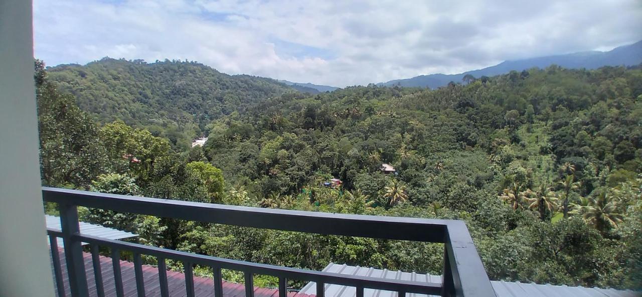 Homestay Winterhome