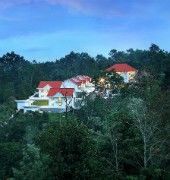 Resort The Fog Munnar