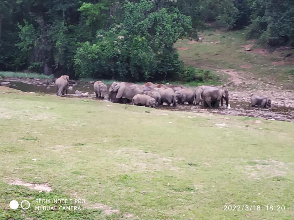 Mountain View Mankulam 3* Munnar