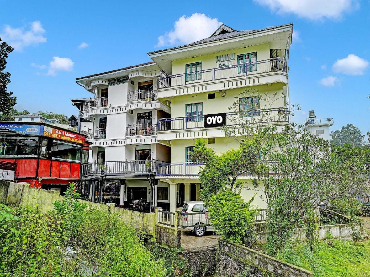 Hotel Oyo Flagship Ammu 3*