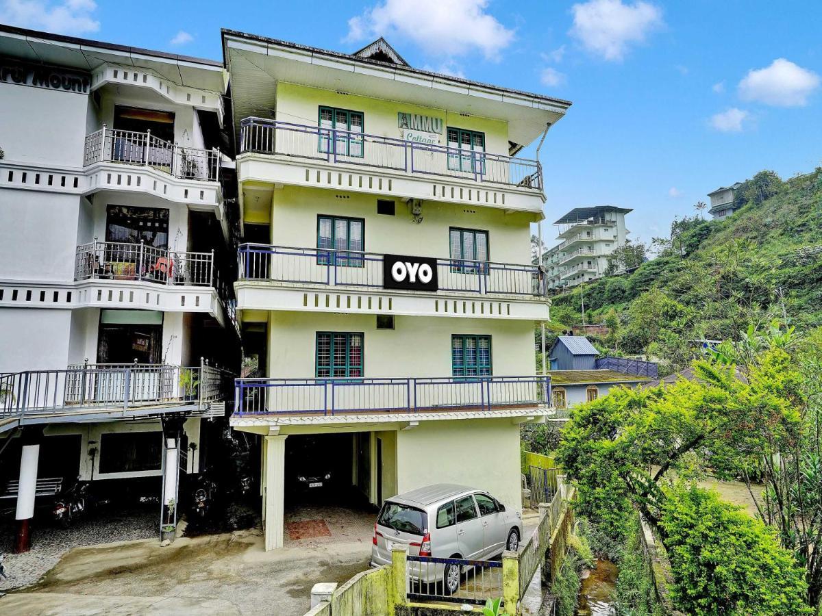 Hotel Oyo Flagship Ammu 3*