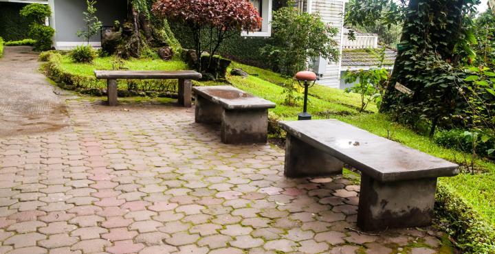 Resort The Tall Trees Munnar