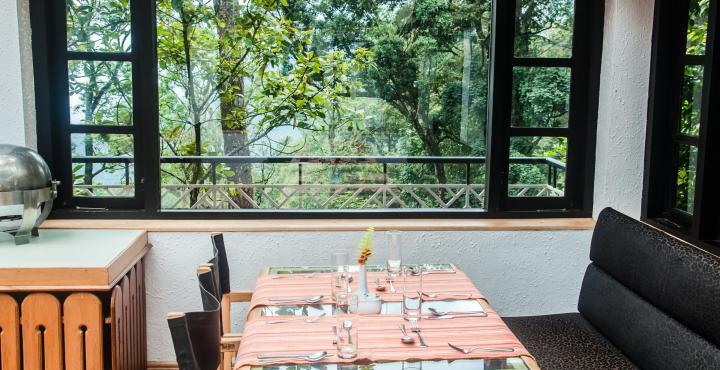 The Tall Trees Resort