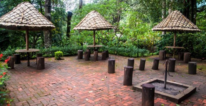 The Tall Trees 4* Munnar