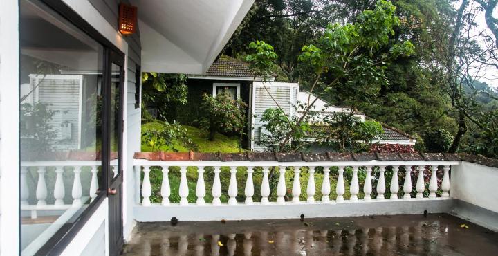 The Tall Trees Resort