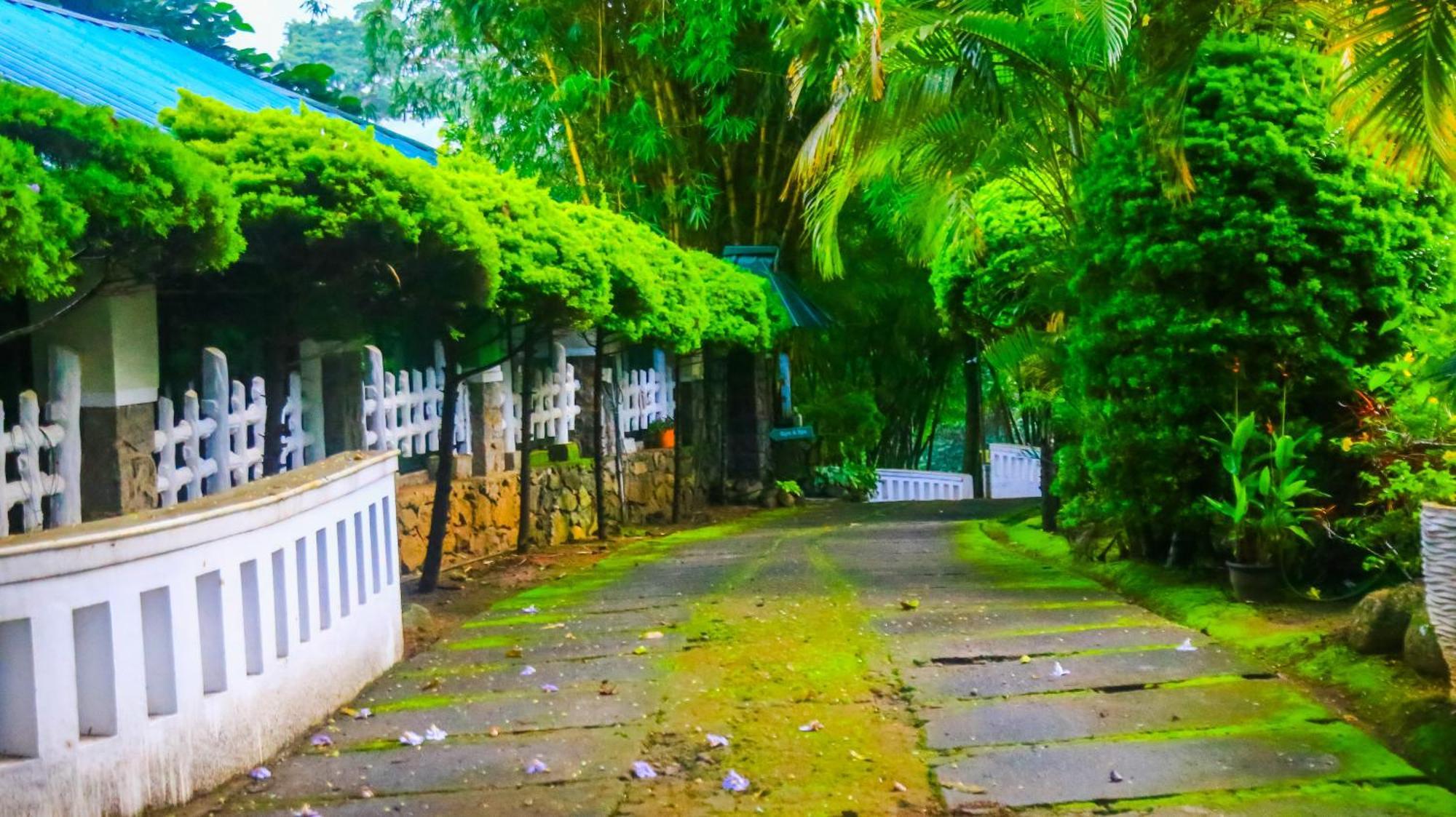 Resort Spring Muunnar,