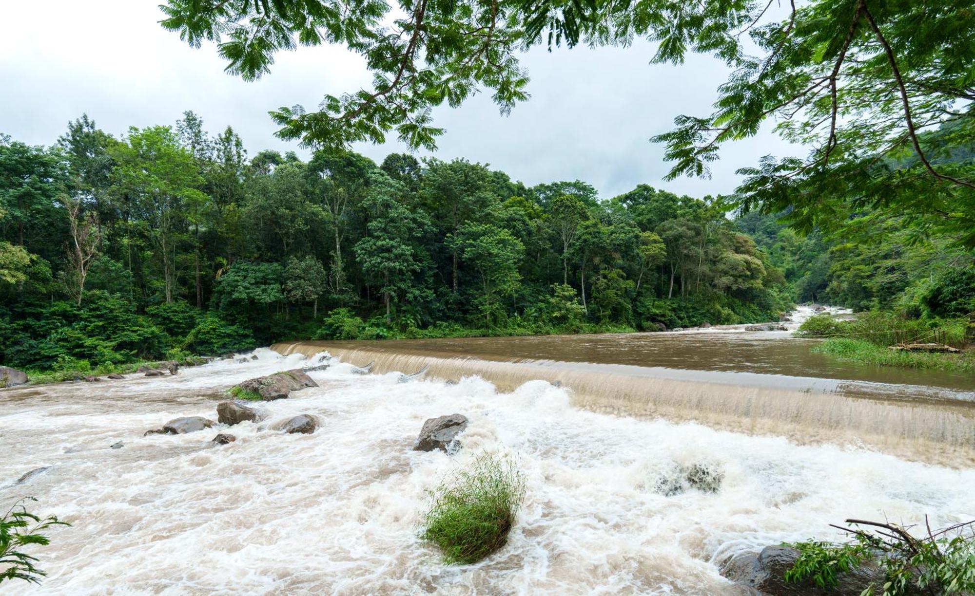 Rivulet 4* Munnar