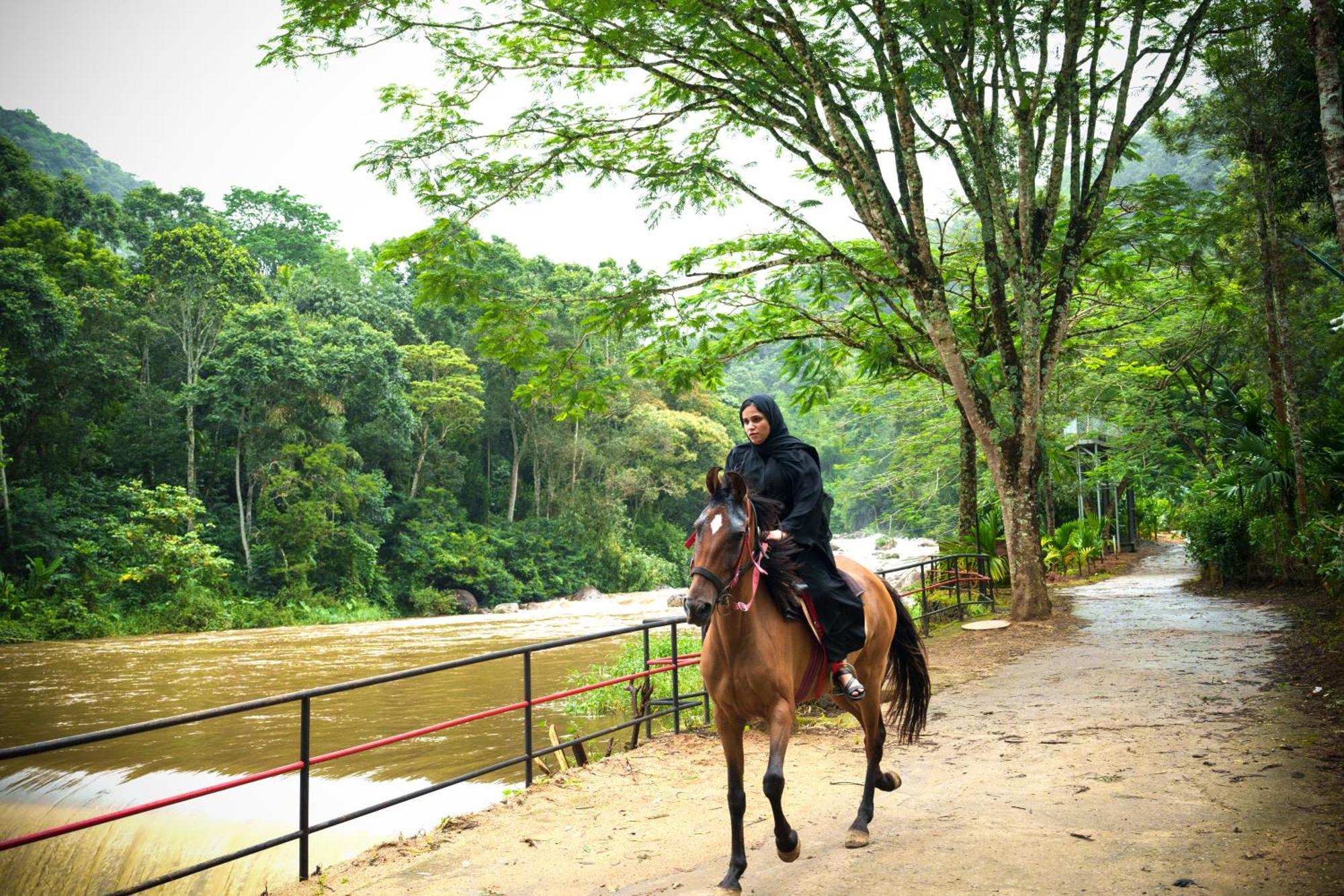 Rivulet 4* Munnar