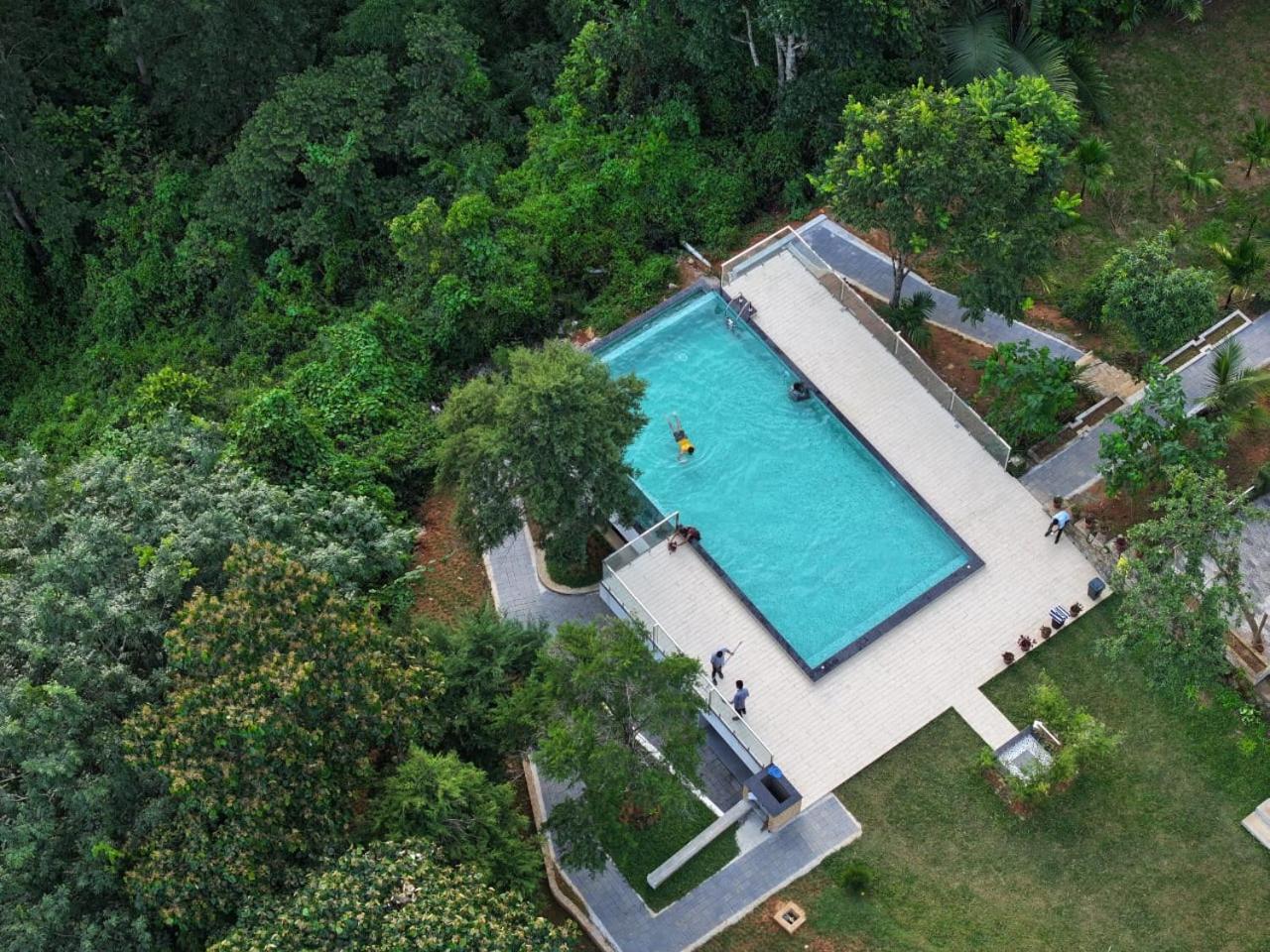 Rivulet 4*