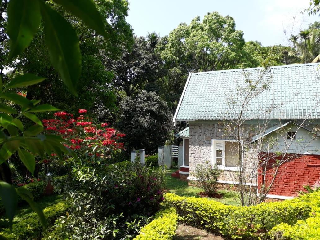 Resort Ambady Estate 4*