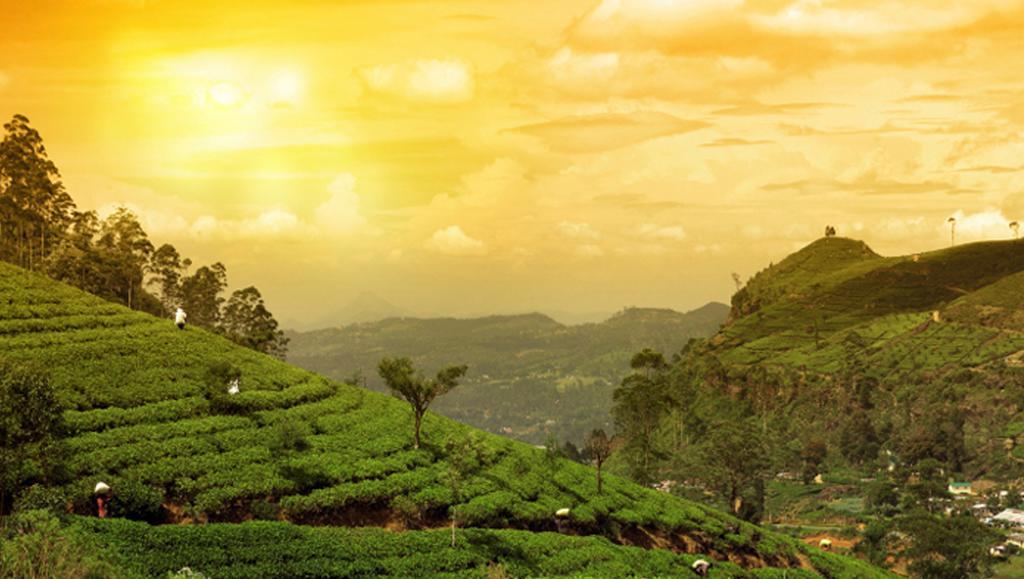 Clouds Valley Munnar