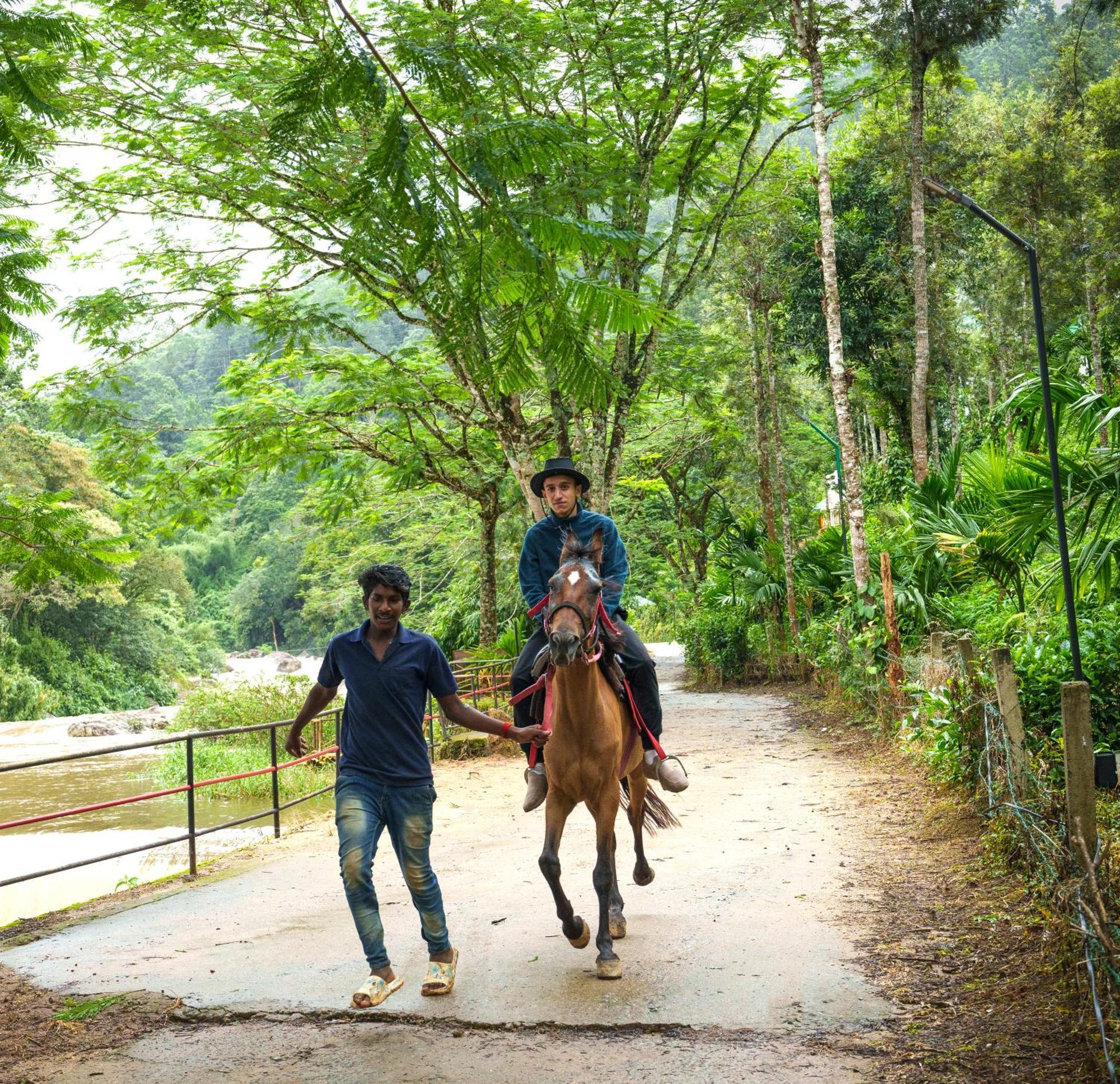Resort Rivulet Munnar